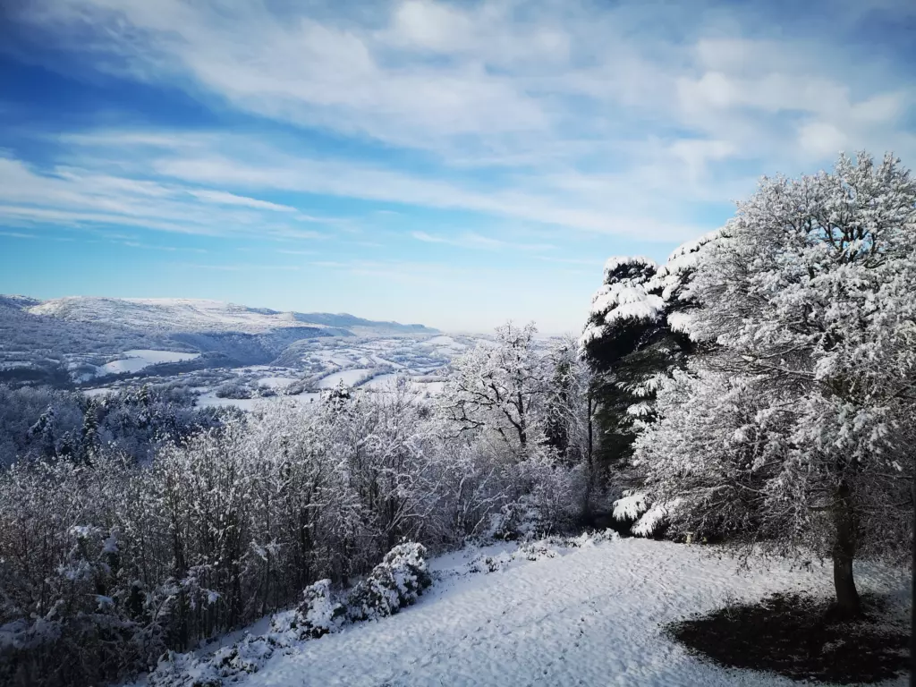 IFS Healing Retreat in Winter